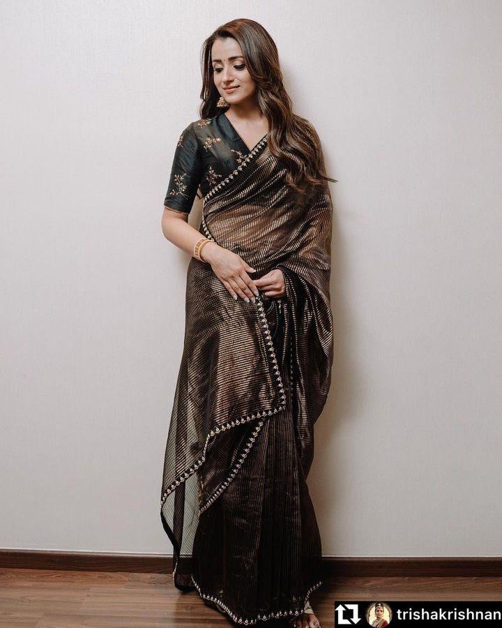 Kiran Organza Saree
